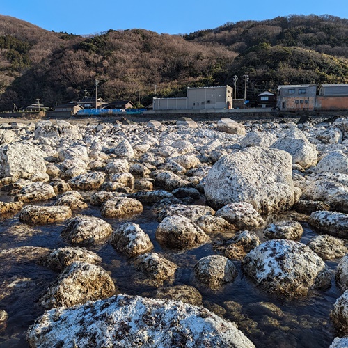 海岸隆起画像